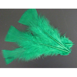 POCHE 100 PLUMES VERT