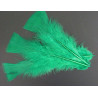 POCHE 100 PLUMES VERT