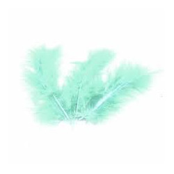 POCHE 25 GRAMMES PLUMES...