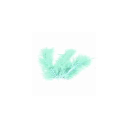 BOLSA 25 GRAMOS PLUMAS VERDE CLARO