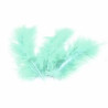 BOLSA 25 GRAMOS PLUMAS VERDE CLARO