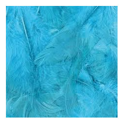 POCHE 25 GRAMMES PLUMES...