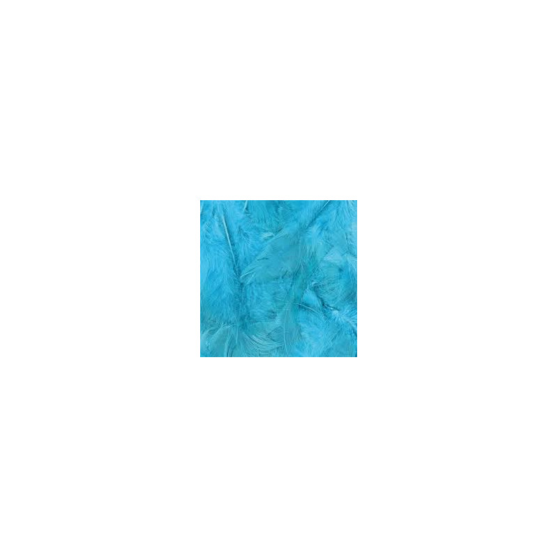 BOLSA 25 GRAMMES PLUMAS TURQUESA