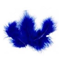 POCHE 25 GRAMMES PLUMES BLEU