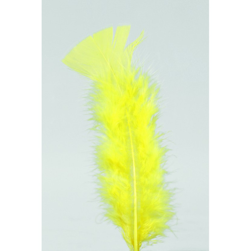 POCHE 100 PLUMES JAUNE