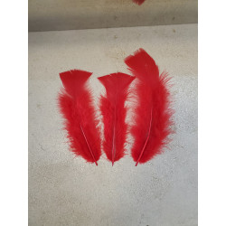 POCHE 25 GRAMMES PLUMES ROUGE
