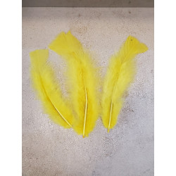 POCHE 25 GRAMMES PLUMES JAUNE