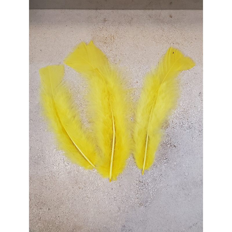 POCHE 25 GRAMMES PLUMES JAUNE