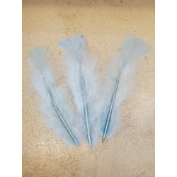 POCHE 25 GRAMMES PLUMES...