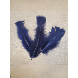 POCHE 25 GRAMMES PLUMES BLEU