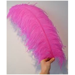 PLUMA DE AVESTRUZ ROSA 60 CM