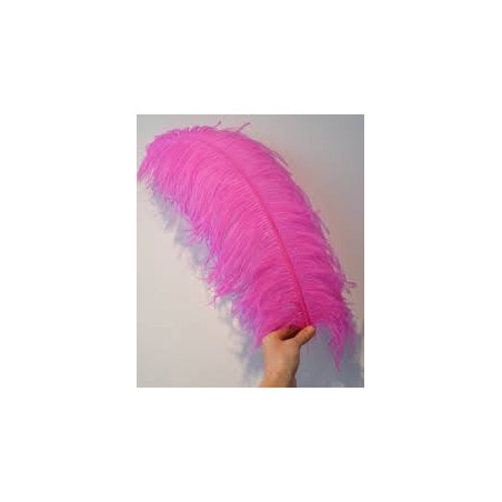 PLUMA DE AVESTRUZ ROSA 60 CM