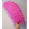 PLUMA DE AVESTRUZ ROSA 60 CM