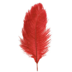 PLUMA AVESTRUZ ROJA 60 CM