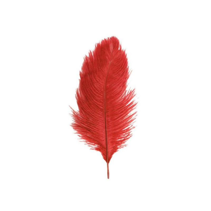 PLUMA AVESTRUZ ROJA 60 CM