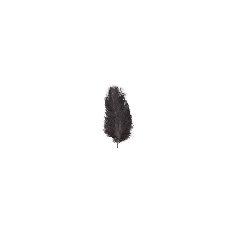 PLUMA AVESTRUZ NEGRA 60 CM