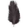 PLUMA AVESTRUZ NEGRA 60 CM