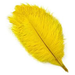 PLUMA AVESTRUZ AMARILLA 60 CM