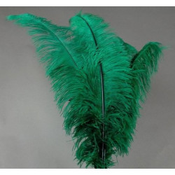 PLUME AUTRUCHE VERTE 60 CM