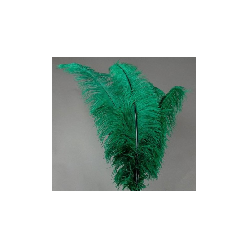 PLUME AUTRUCHE VERTE 60 CM