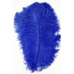 PLUME AUTRUCHE BLEU 60 CM