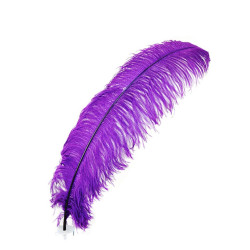 PLUMA AVESTRUZ MORADA 60 CM