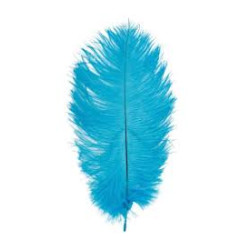 PLUME AUTRUCHE TURQUOISE 60 CM