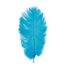 PLUME AUTRUCHE TURQUOISE 60 CM