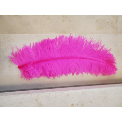 PLUME AUTRUCHE FUCHSIA 60 CM