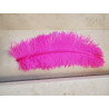 PLUME AUTRUCHE FUCHSIA 60 CM