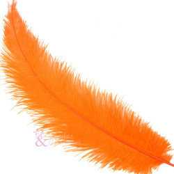 PLUME D'AUTRUCHE ORANGE 45CM