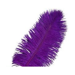 PLUME D'AUTRUCHE VIOLET 45CM