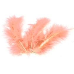 PLUME D'AUTRUCHE SAUMON 35 CM