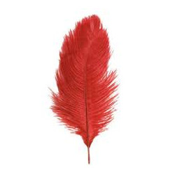 PLUME D'AUTRUCHE ROUGE 35 CM