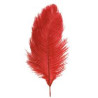 PLUMA DE AVESTRUZ ROJA 35 CM