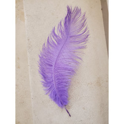 PLUME D'AUTRUCHE LILA 35 CM