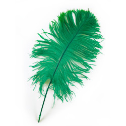 PLUME D'AUTRUCHE VERTE 35 CM