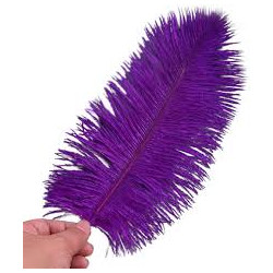 PLUME D'AUTRUCHE VIOLET 35 CM