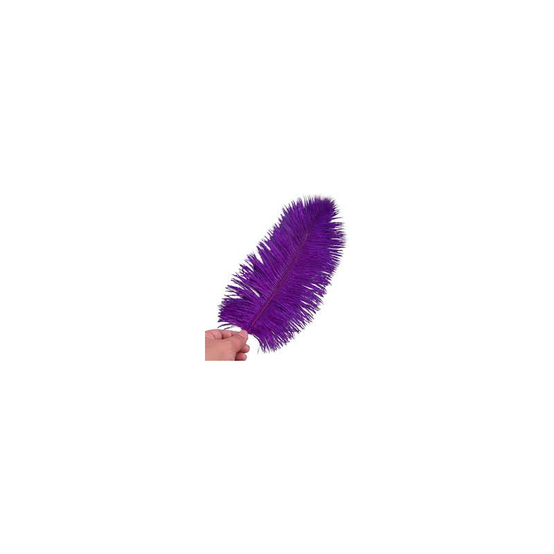PLUMA DE AVESTRUZ MORADO 35 CM