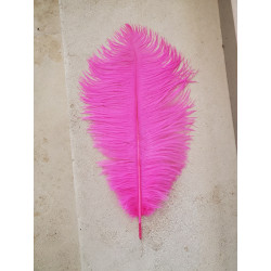 PLUMA DE AVESTRUZ FUCSIA 35 CM