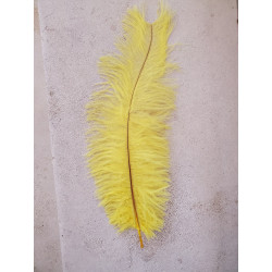 PLUMA DE AVESTRUZ AMARILLA...