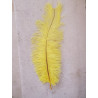 PLUMA DE AVESTRUZ AMARILLA 35 CM