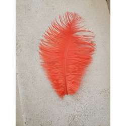 PLUME D'AUTRUCHE ORANGE 25CM