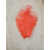 PLUME D'AUTRUCHE ORANGE 25CM