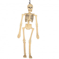 Squelette 40cm