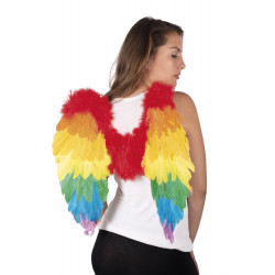 Ailes plumes multicolores...