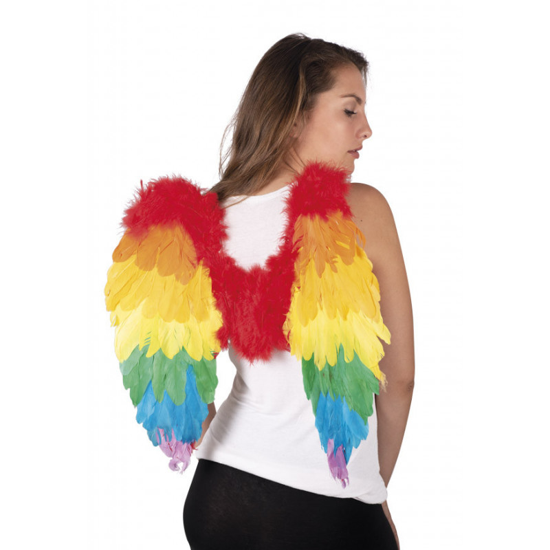 Ailes plumes multicolores 50X50