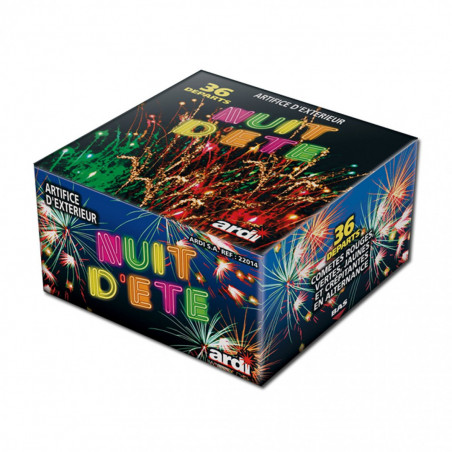 Feu d'artifice Nuit D'été