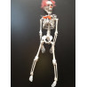 Squelette clown 40 cm