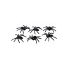 6 Araignées noires